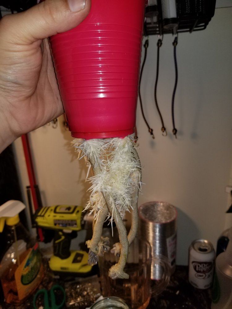 20191107 091233