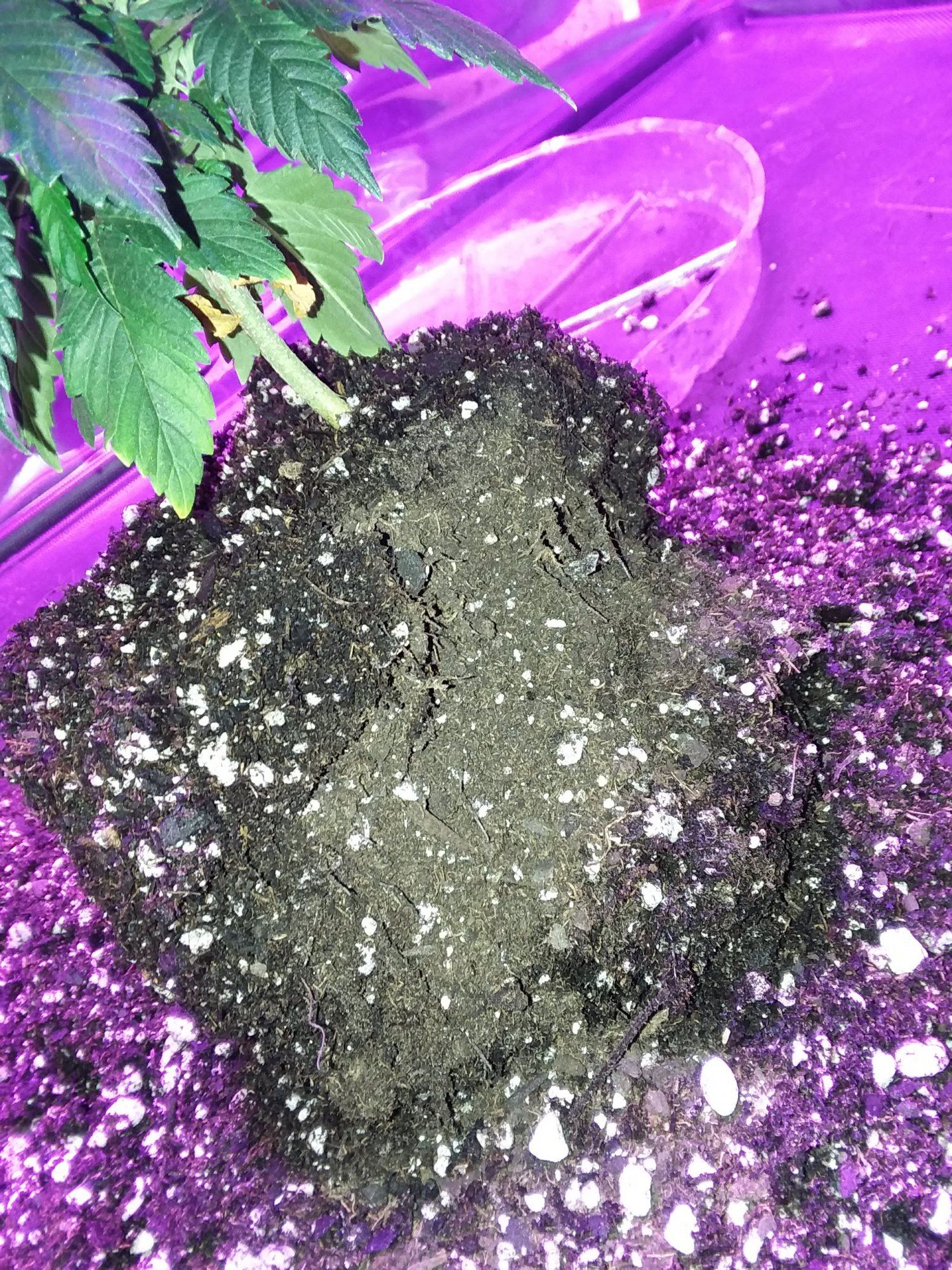 20191107 123715 1