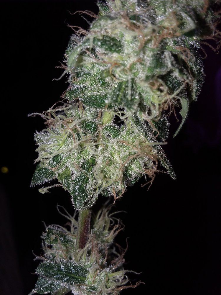 20191107 200515