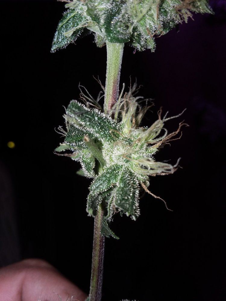 20191107 200520