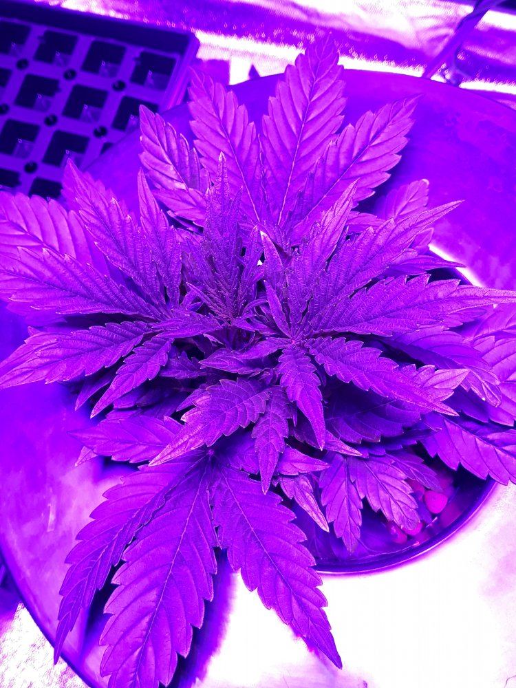 20191110 010519