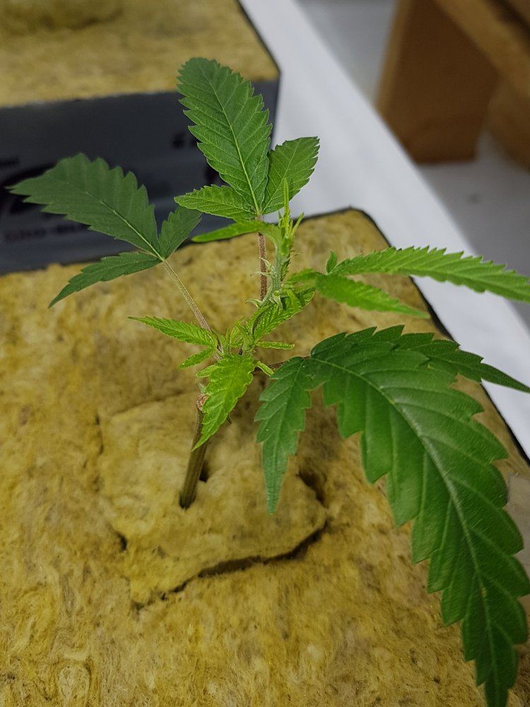 20191110 152044