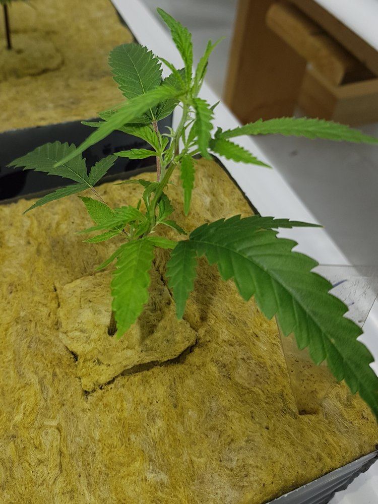 20191110 152125