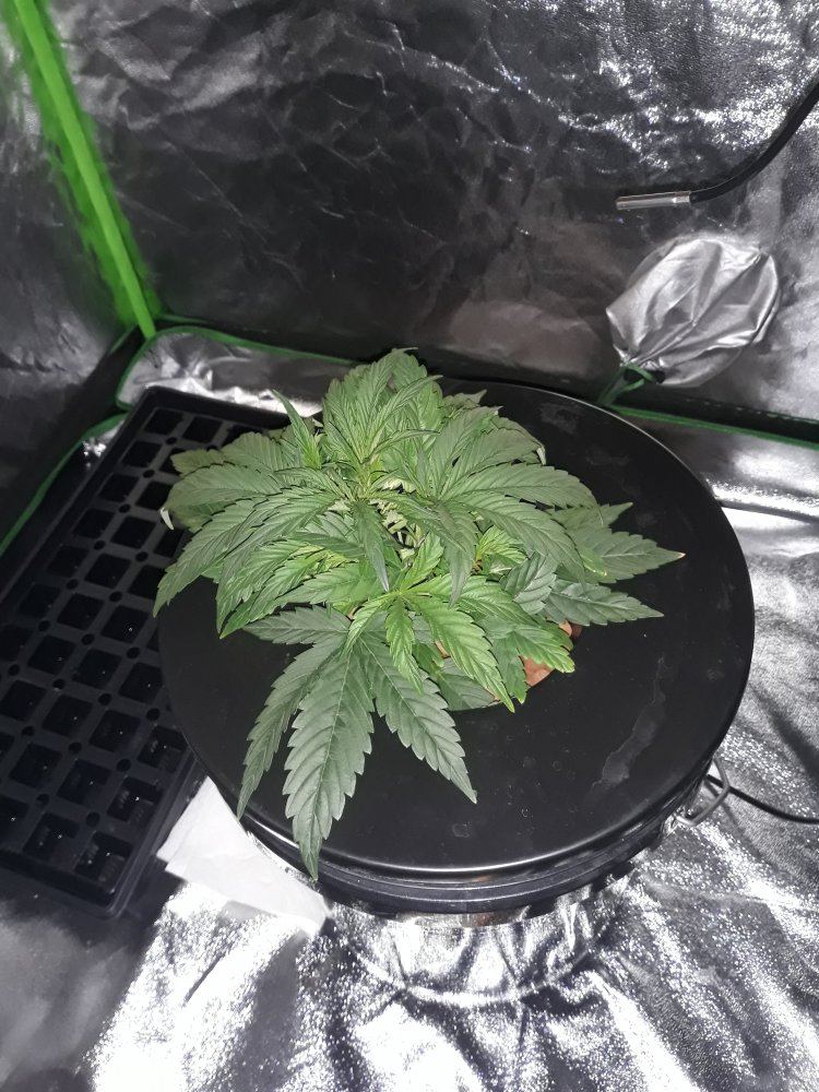 20191111 175115