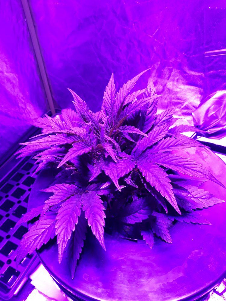 20191112 222839