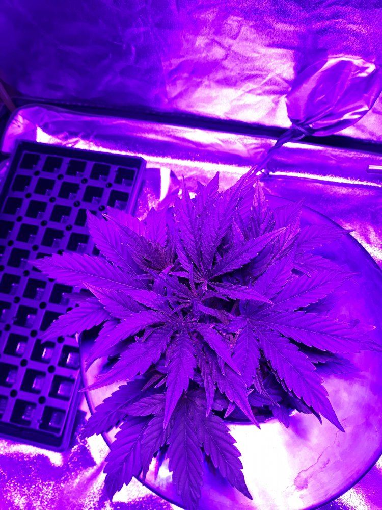 20191112 222846