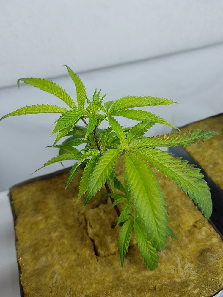 20191114 110842
