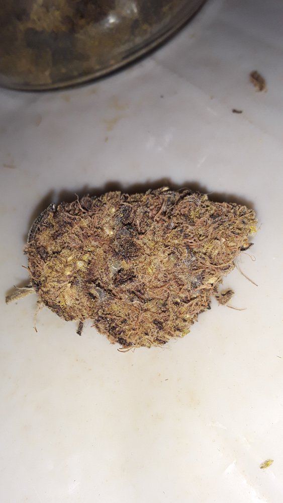 20191114 164909