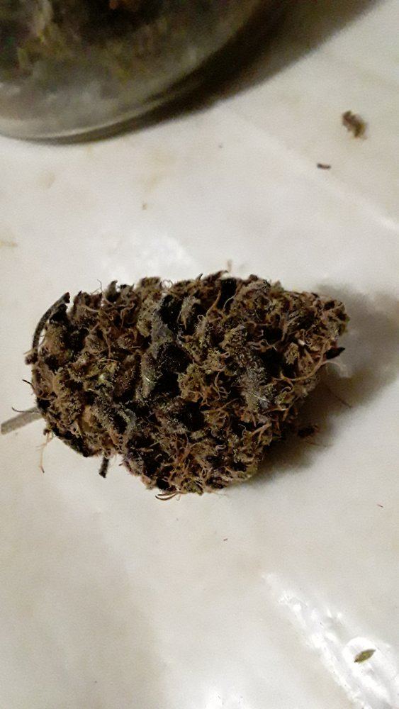 20191114 164922