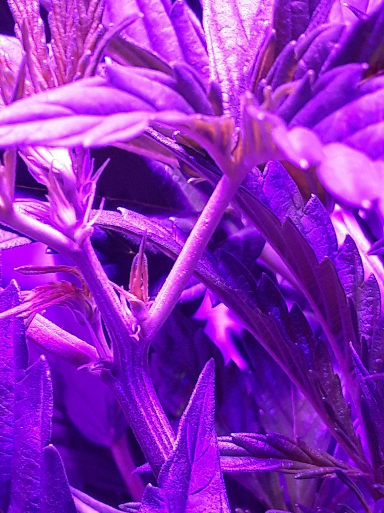 20191114 221744