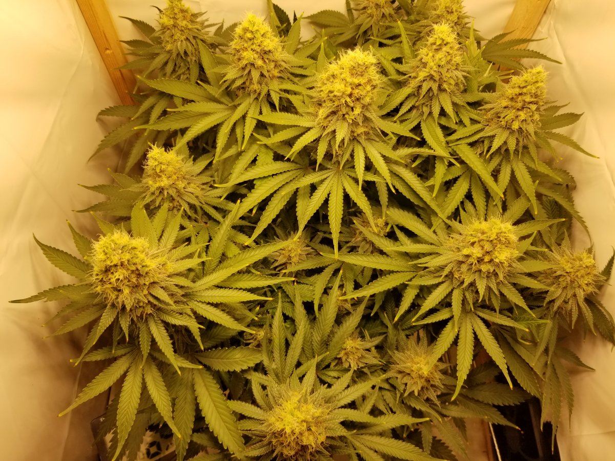 20191115 085711