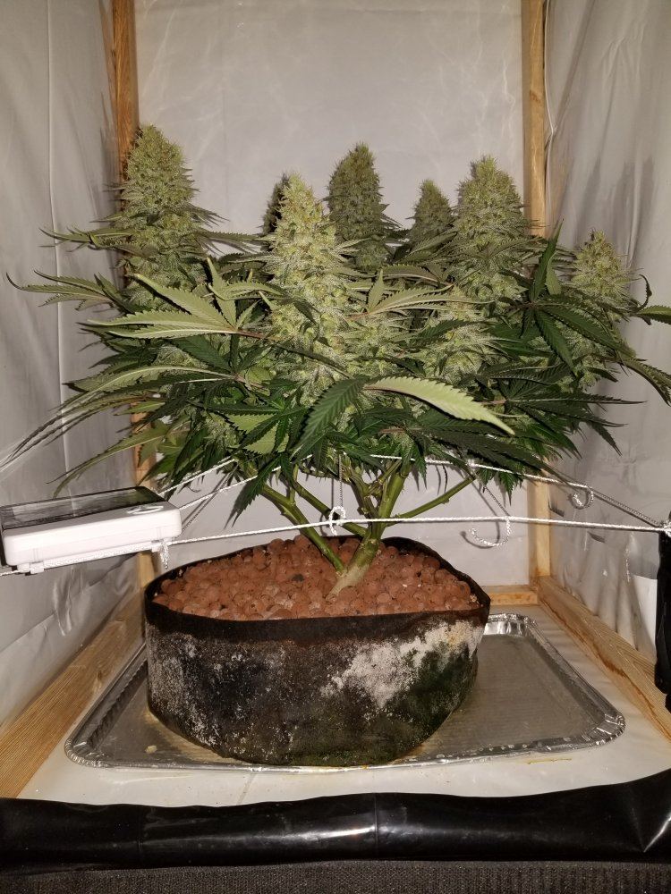 20191115 085833