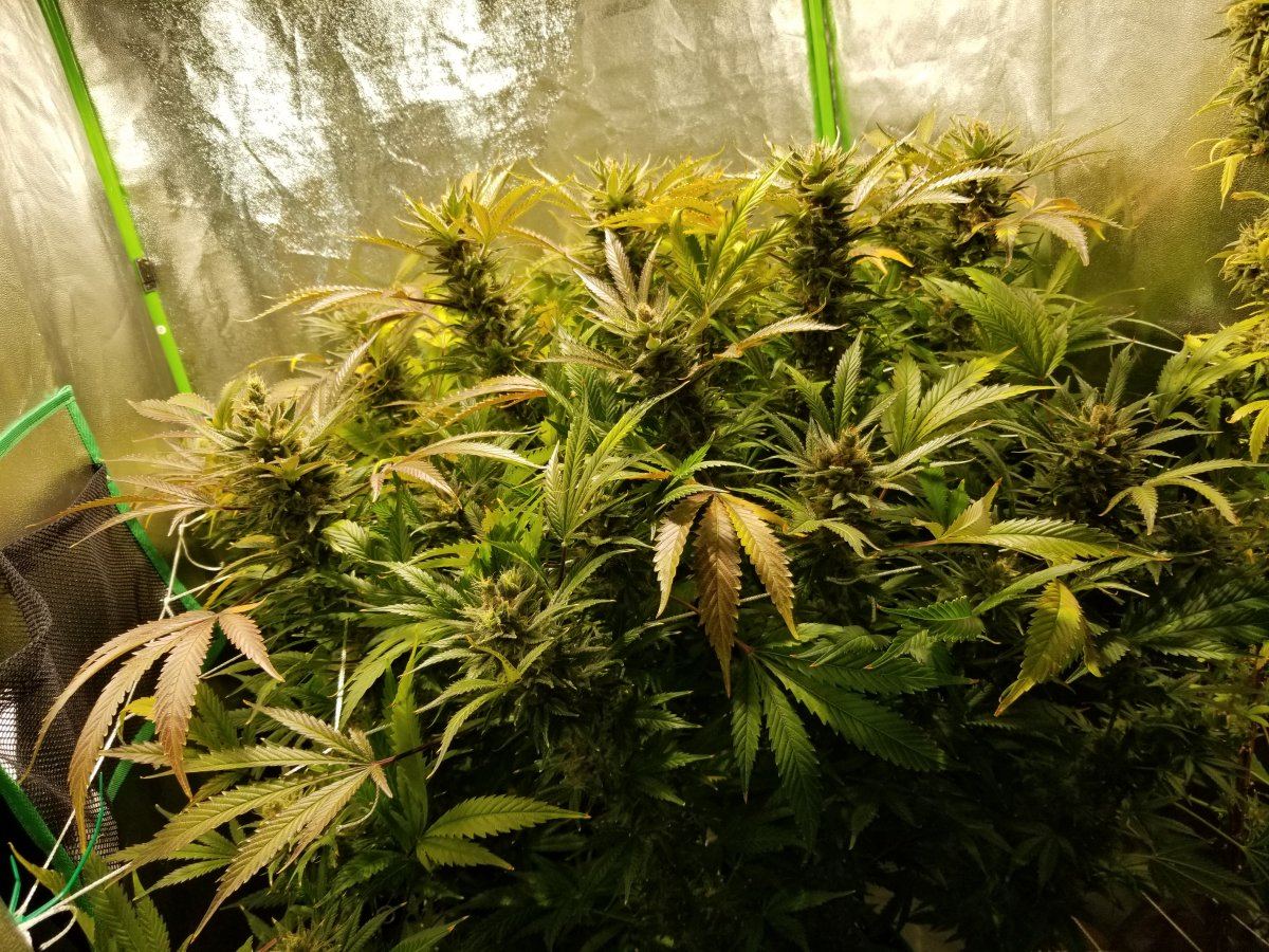 20191115 090245