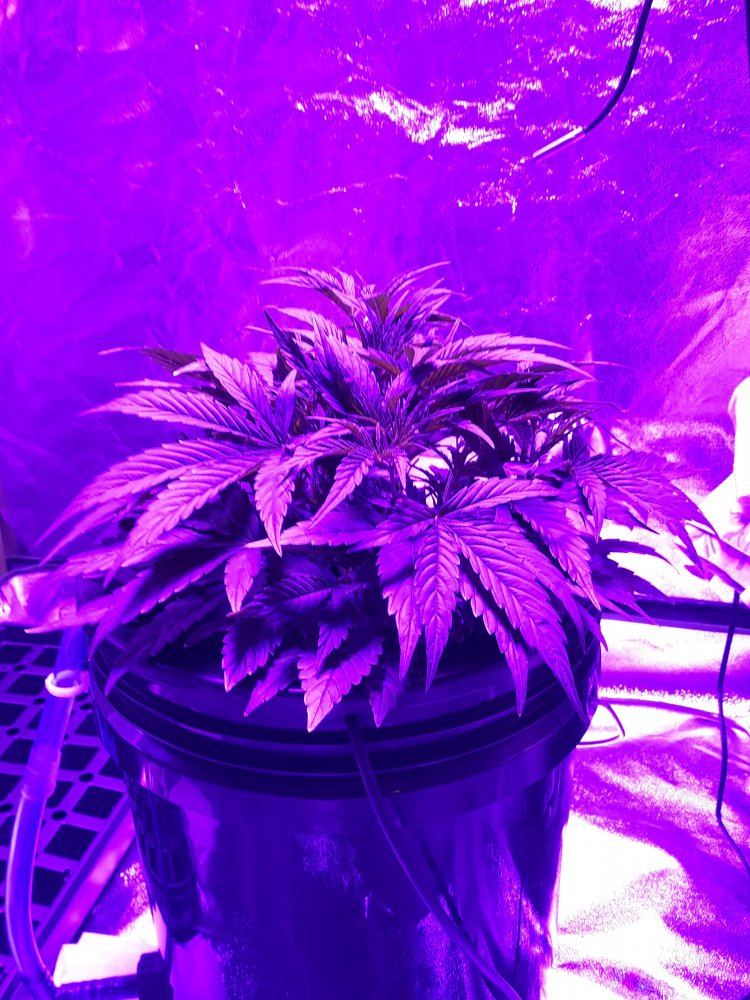 20191115 152916