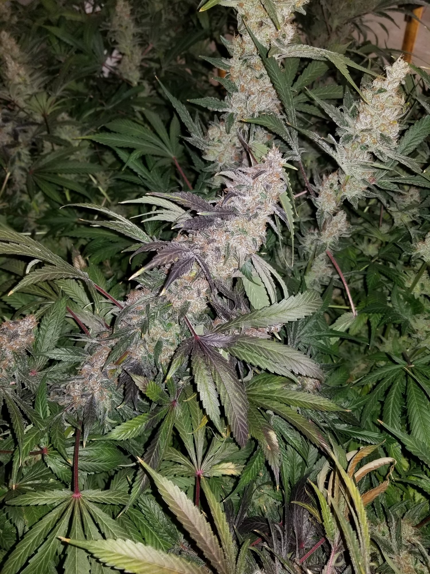 20191116 144758