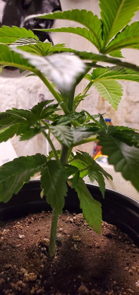 20191116 215906