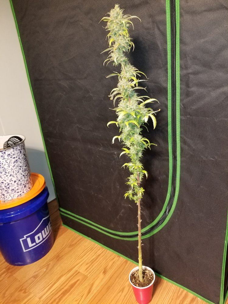 20191118 091203