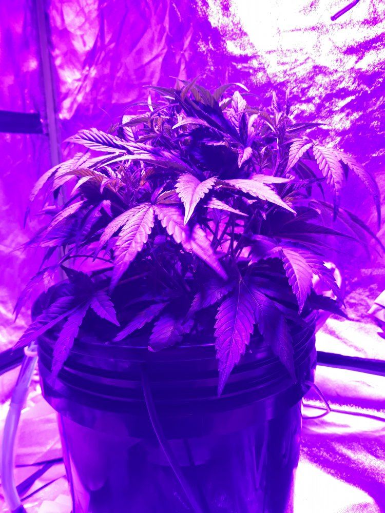 20191118 183156