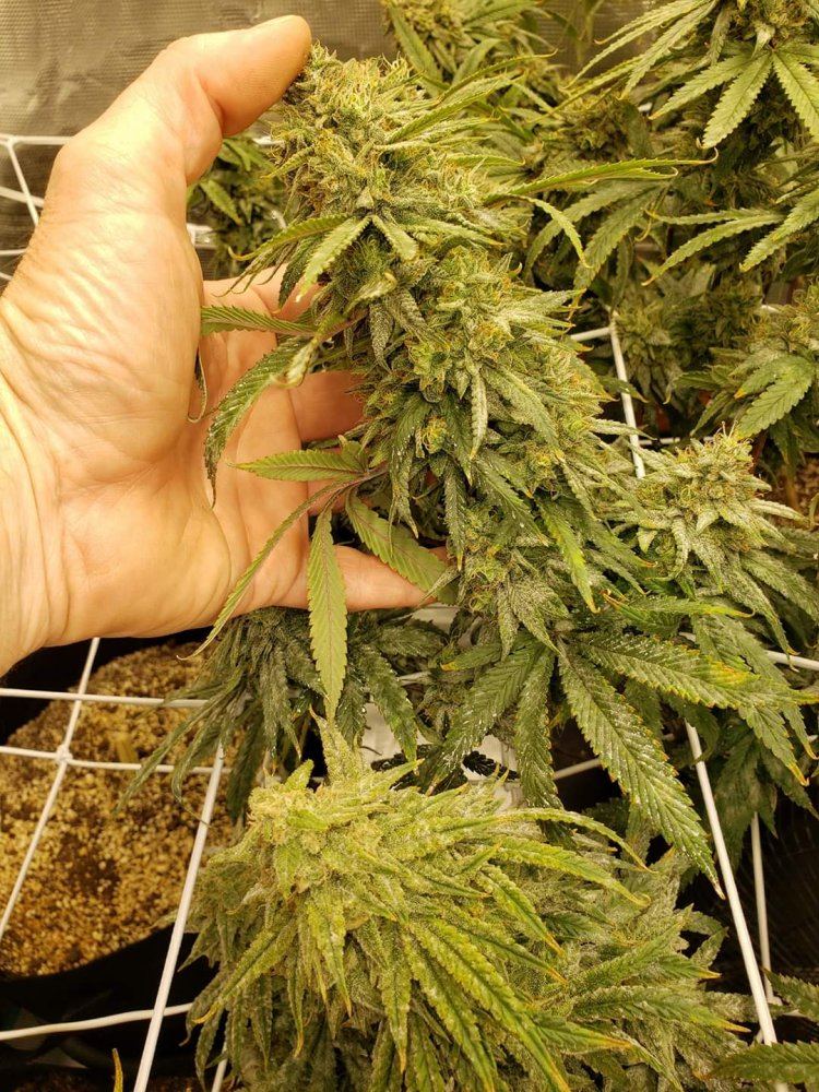 20191119183307