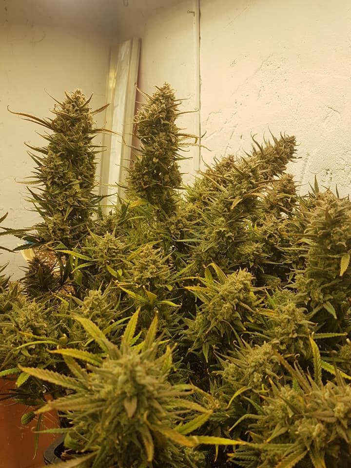 20191119185314