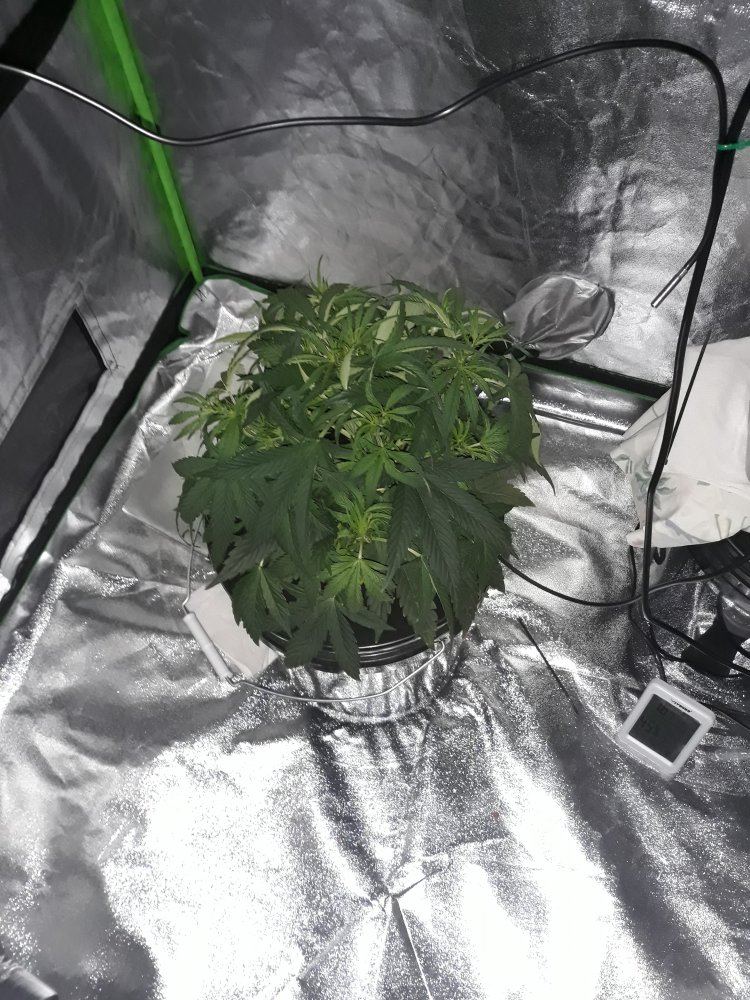 20191119 161658