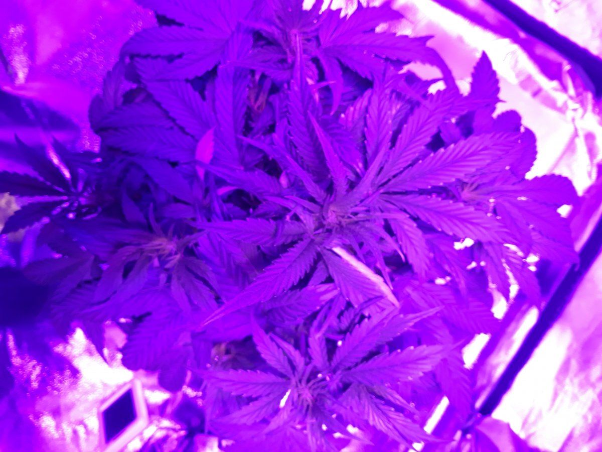 20191119 204049