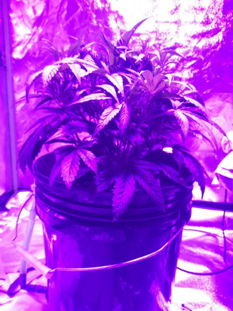 20191119 204101