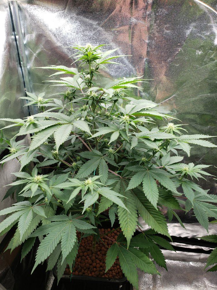 20191121 075653