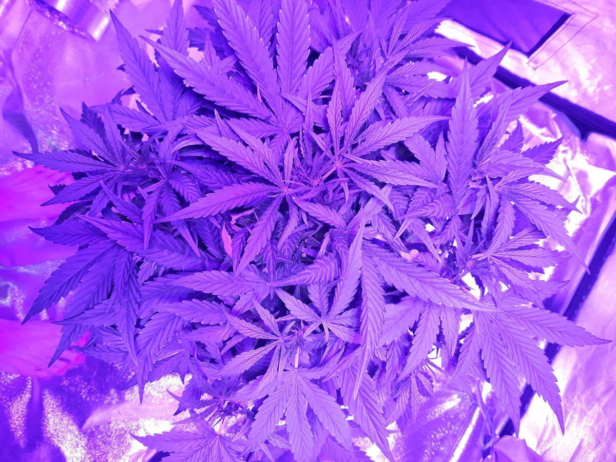 20191121 124742