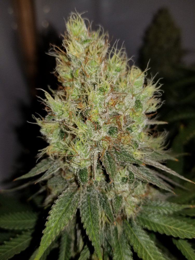 20191122 094311