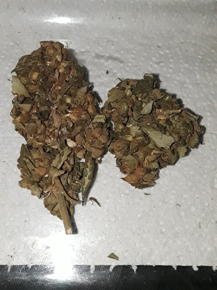 20191124 060354