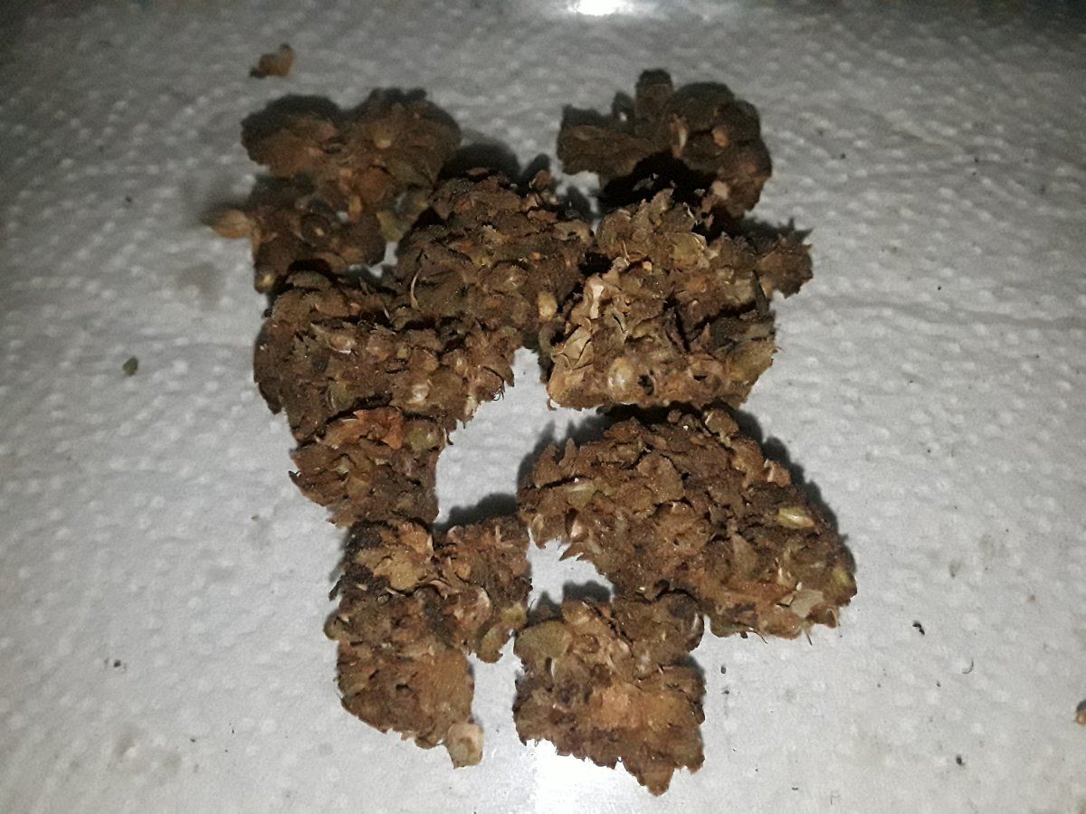 20191124 060613