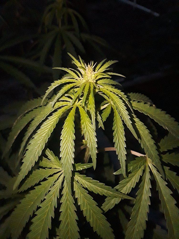 20191125 063905