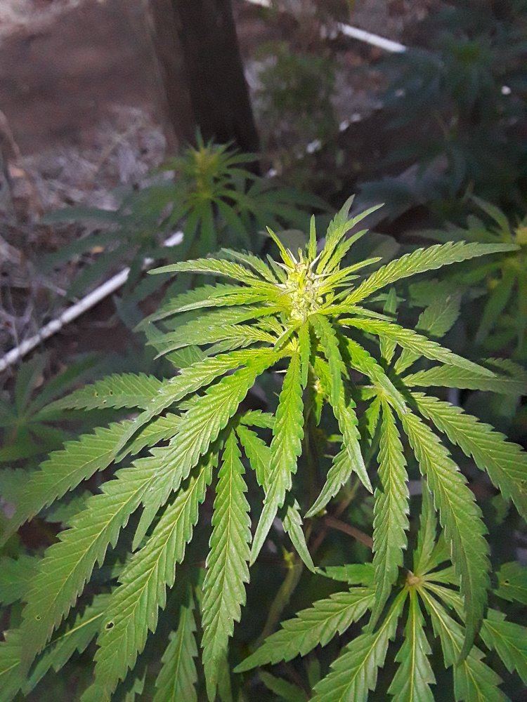20191125 160031