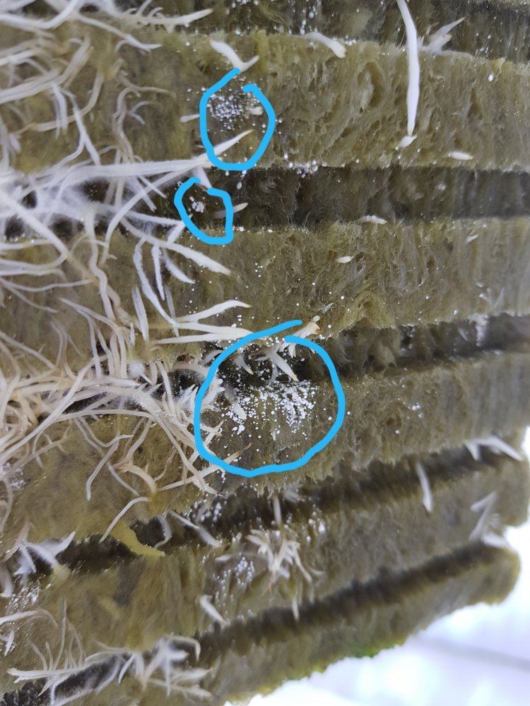 20191125 200245