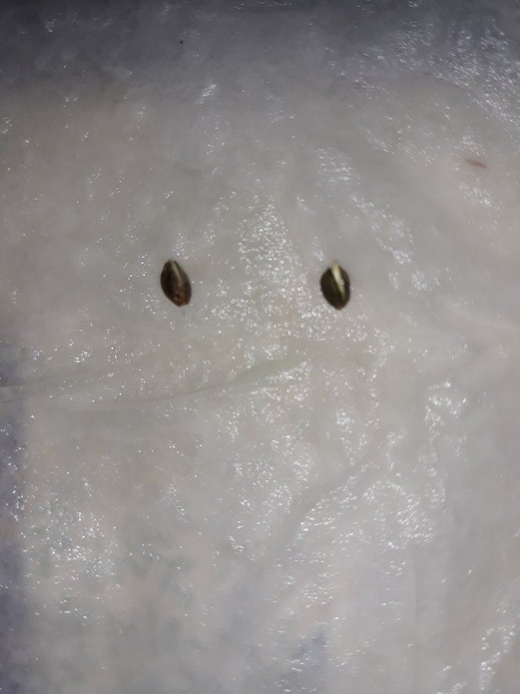 20191126 101155