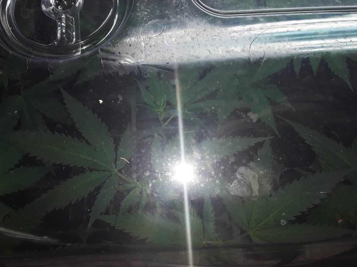20191126 112353
