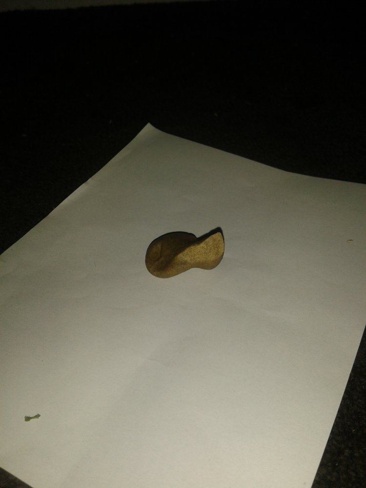 20191126 172422