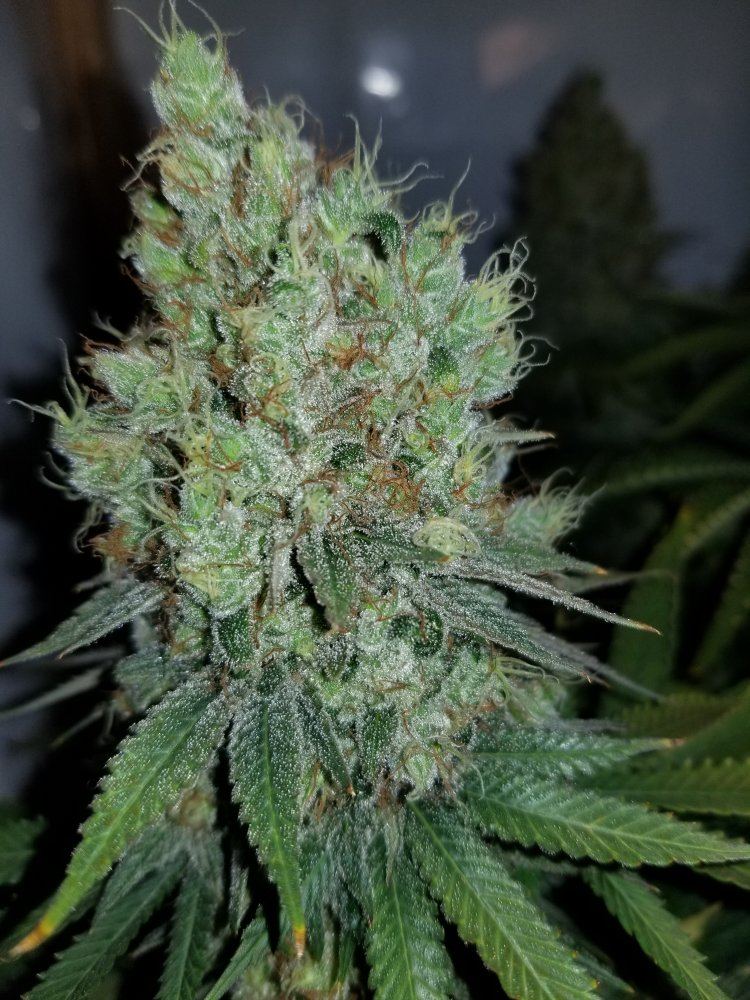 20191129 122356