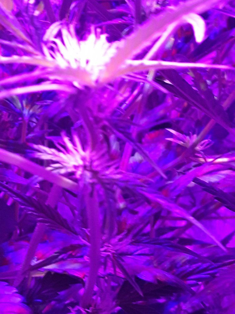 20191204 105042