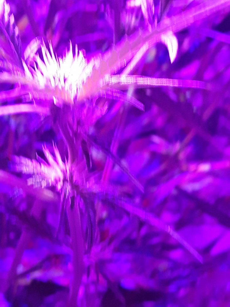 20191204 105043