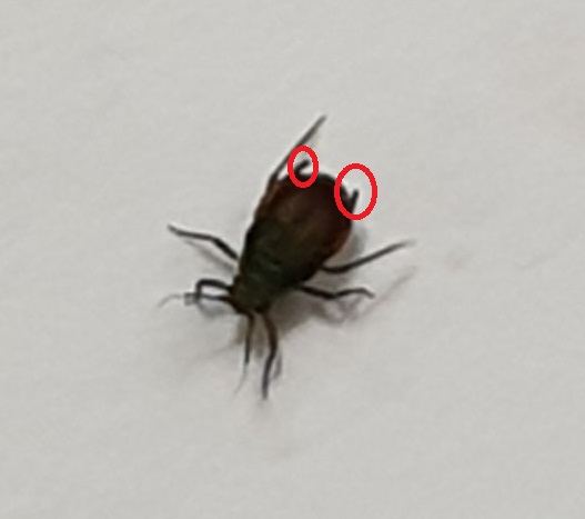20191207 034558