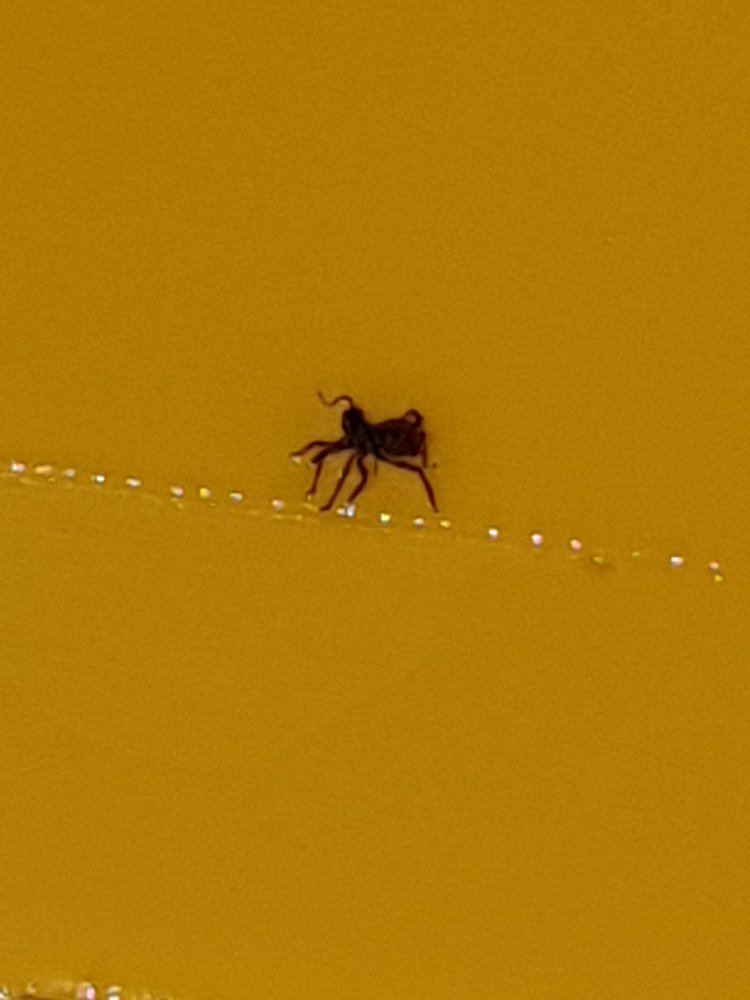 20191207 040256
