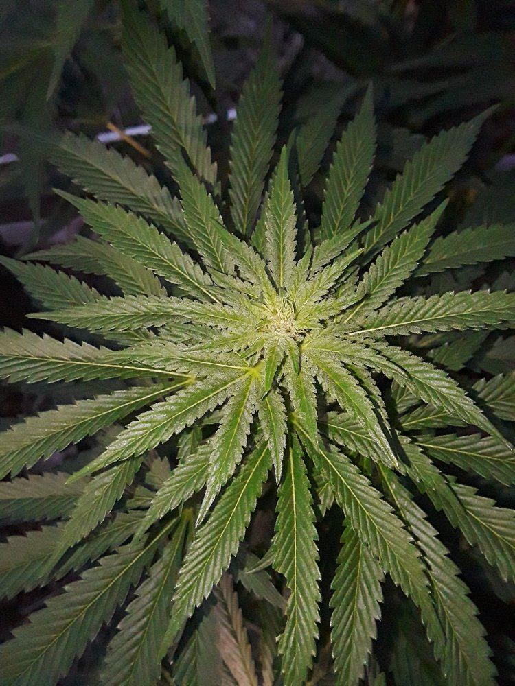 20191215 155145