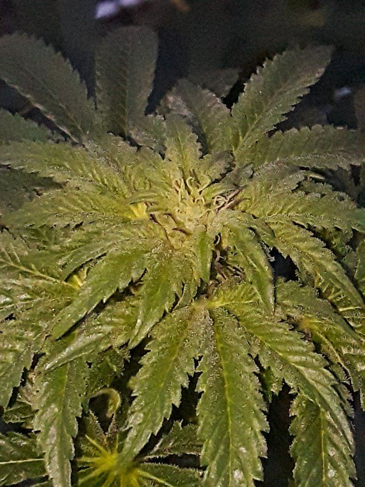 20191220 093917