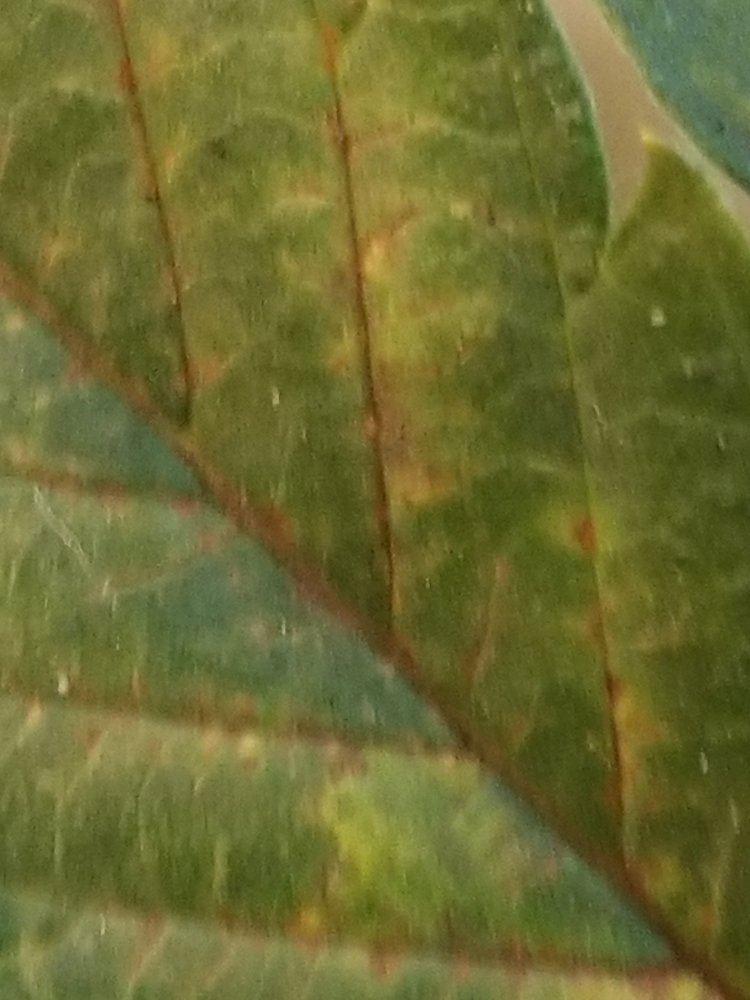 20191225 173005