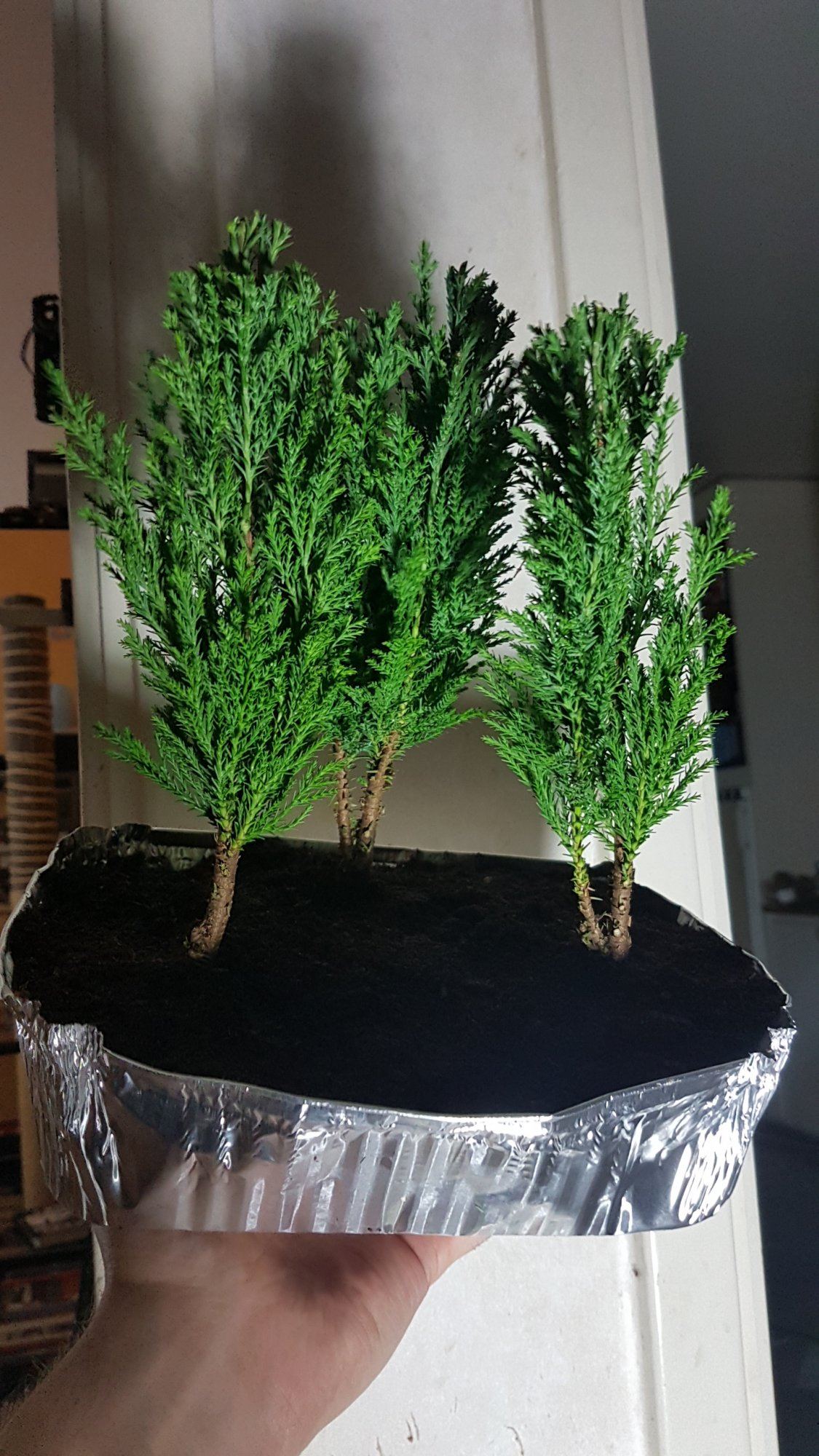 20191226 220411