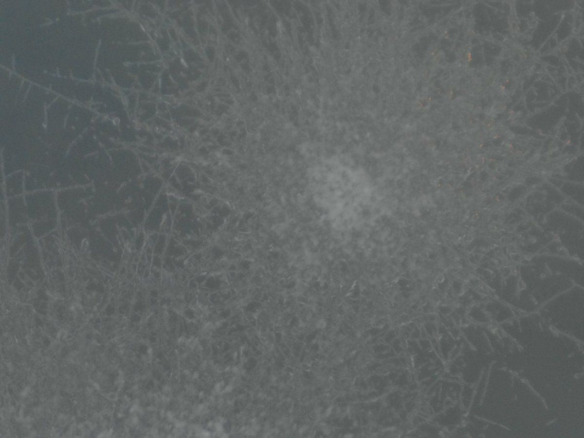 2019 0104 044655 002
