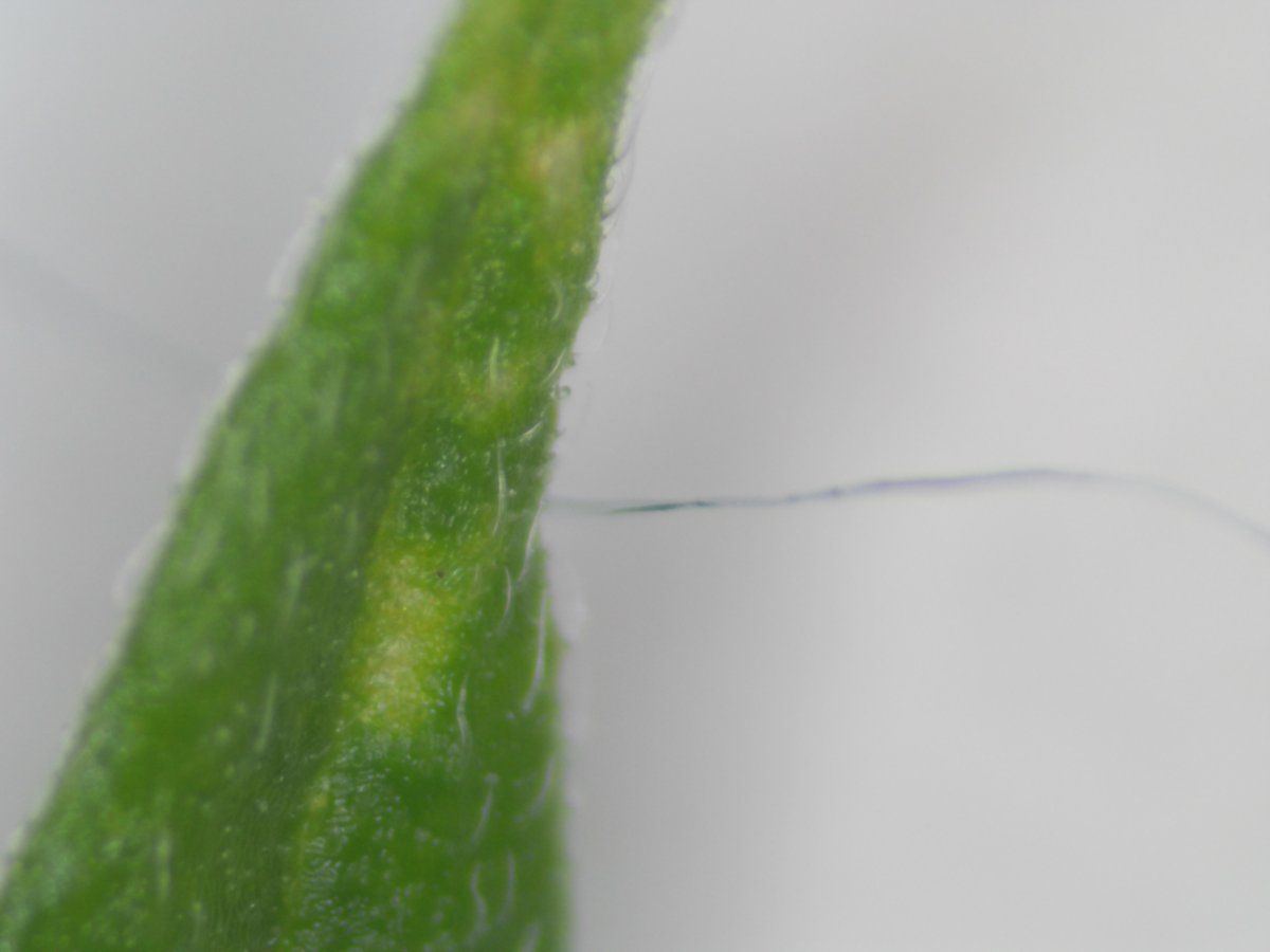 2019 0107 204314 001
