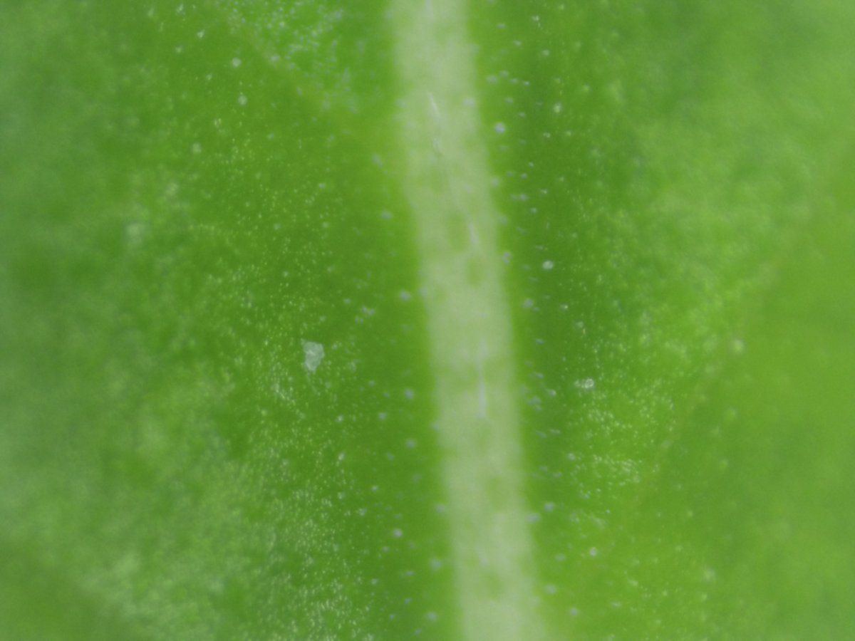 2019 0107 204620 002